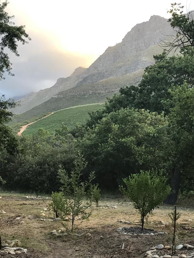 At Home In Mostertsdrift Στέλενμπος Εξωτερικό φωτογραφία